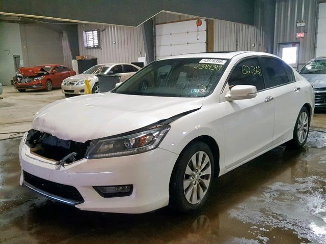 1HGCR2F87EA300536 - 2014 HONDA ACCORD EXL WHITE photo 2