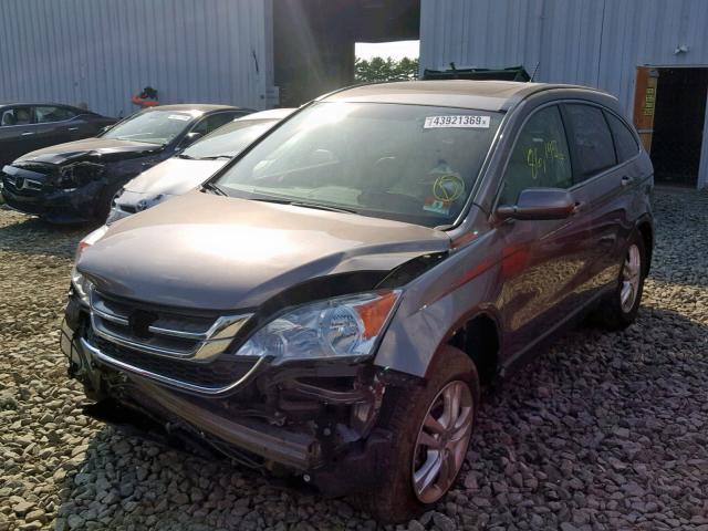 5J6RE4H78BL090558 - 2011 HONDA CR-V EXL BROWN photo 2