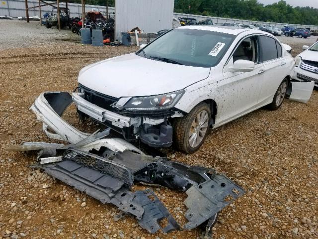 1HGCR2F82FA221745 - 2015 HONDA ACCORD EXL WHITE photo 2