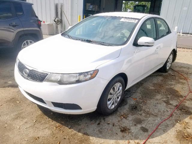 KNAFU4A21C5551726 - 2012 KIA FORTE EX WHITE photo 2