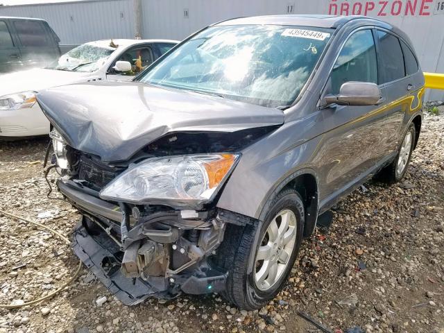 5J6RE487X9L025673 - 2009 HONDA CR-V EXL BROWN photo 2