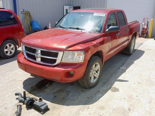 1D7HE48N58S524343 - 2008 DODGE DAKOTA QUA RED photo 2