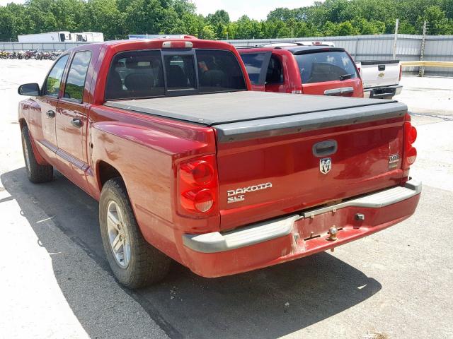 1D7HE48N58S524343 - 2008 DODGE DAKOTA QUA RED photo 3