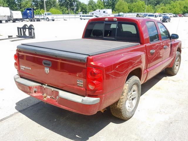 1D7HE48N58S524343 - 2008 DODGE DAKOTA QUA RED photo 4