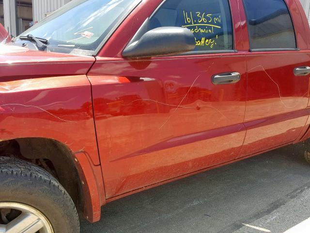 1D7HE48N58S524343 - 2008 DODGE DAKOTA QUA RED photo 9