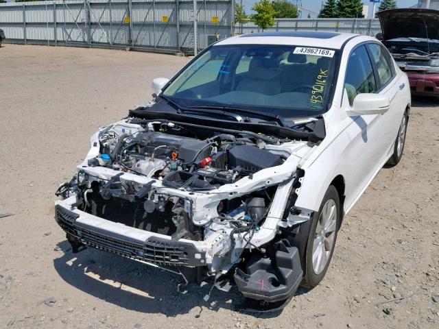 1HGCR2F85FA069685 - 2015 HONDA ACCORD EXL WHITE photo 2