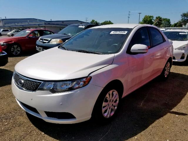 KNAFU4A21B5892493 - 2011 KIA FORTE EX WHITE photo 2