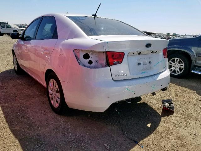 KNAFU4A21B5892493 - 2011 KIA FORTE EX WHITE photo 3