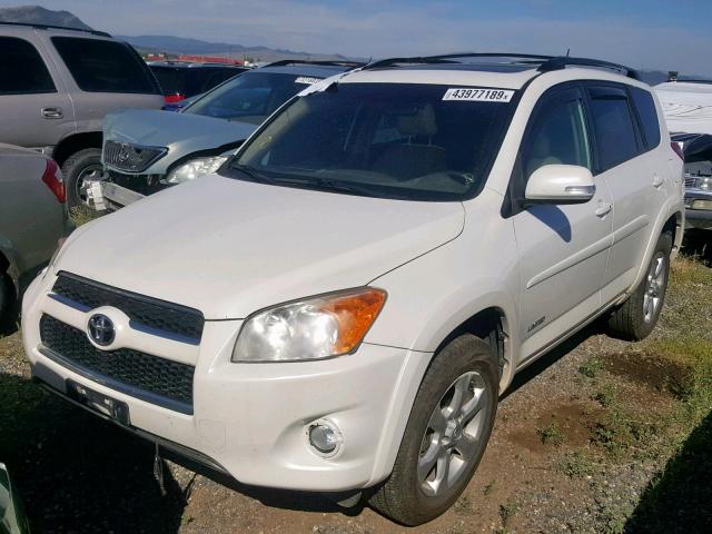 JTMDF4DV8A5021101 - 2010 TOYOTA RAV4 LIMIT WHITE photo 2