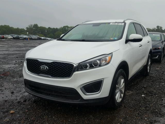 5XYPG4A37GG173500 - 2016 KIA SORENTO LX WHITE photo 2