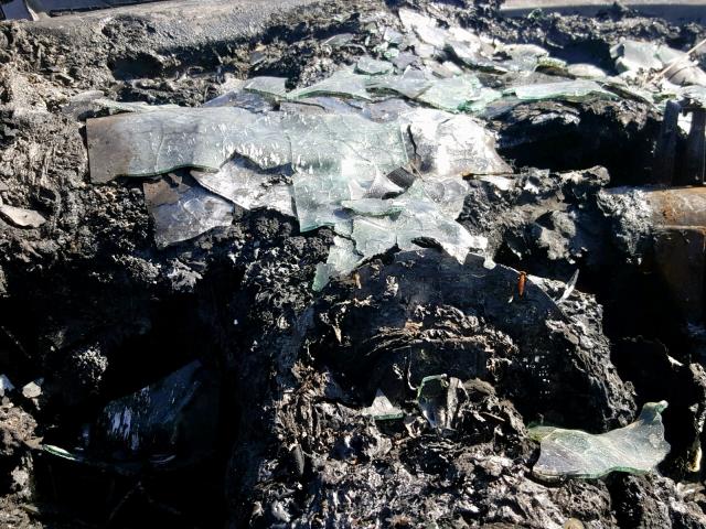 3VWCA21C1XM467267 - 1999 VOLKSWAGEN NEW BEETLE ვერცხლისფერი ფოტო 8