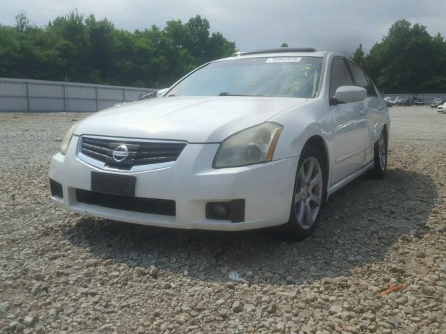 1N4BA41E27C821820 - 2007 NISSAN MAXIMA SE WHITE photo 2