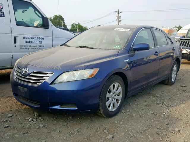 4T1BB46K28U061420 - 2008 TOYOTA CAMRY HYBR BLUE photo 2