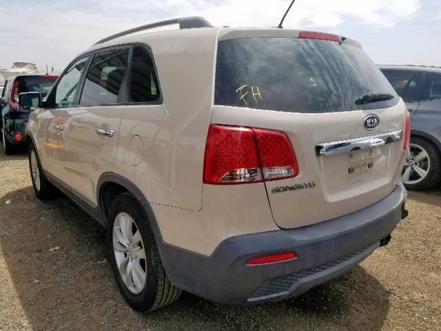 5XYKTDA2XBG080492 - 2011 KIA SORENTO BA BEIGE photo 3