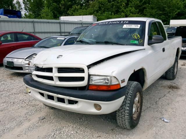 1B7GG22XXYS504054 - 2000 DODGE DAKOTA WHITE photo 2