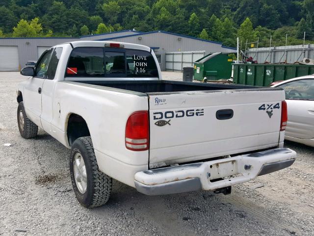 1B7GG22XXYS504054 - 2000 DODGE DAKOTA WHITE photo 3