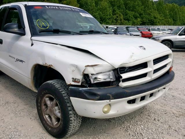 1B7GG22XXYS504054 - 2000 DODGE DAKOTA WHITE photo 9