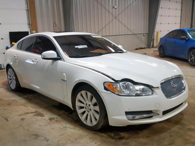 SAJWA06B89HR03366 - 2009 JAGUAR XF PREMIUM WHITE photo 1