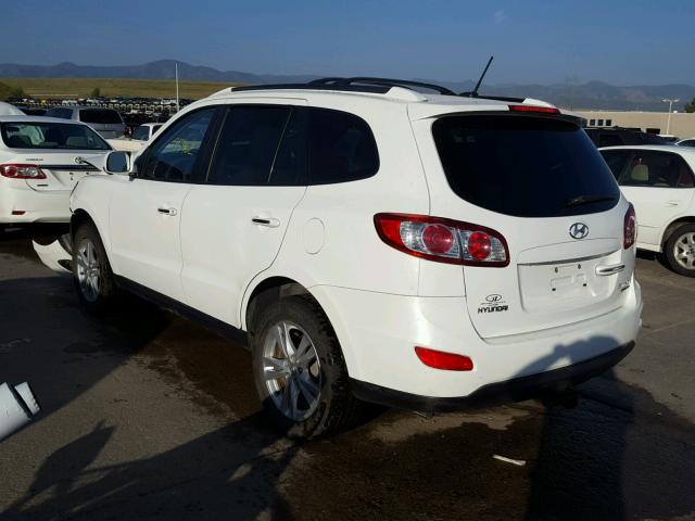 5NMSKDAG9AH386019 - 2010 HYUNDAI SANTA FE L WHITE photo 3