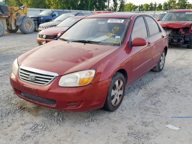 KNAFE221695655872 - 2009 KIA SPECTRA EX BURGUNDY photo 2