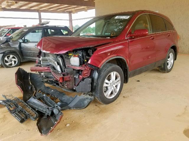 5J6RE3H70AL007262 - 2010 HONDA CR-V EXL MAROON photo 2