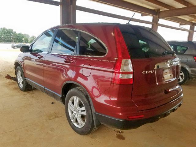 5J6RE3H70AL007262 - 2010 HONDA CR-V EXL MAROON photo 3