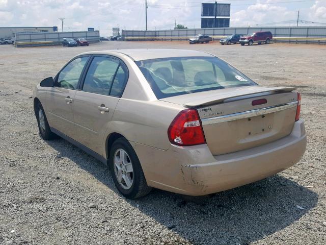 1G1ZT548X5F130778 - 2005 CHEVROLET MALIBU LS ოქროსფერი ფოტო 3