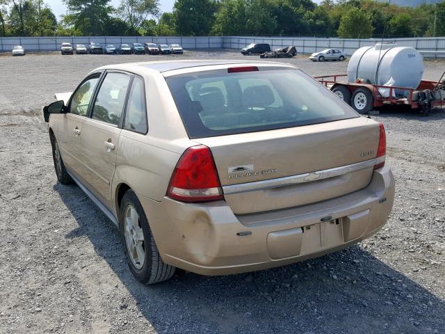 1G1ZT64874F184866 - 2004 CHEVROLET MALIBU MAX 金色 照片 3