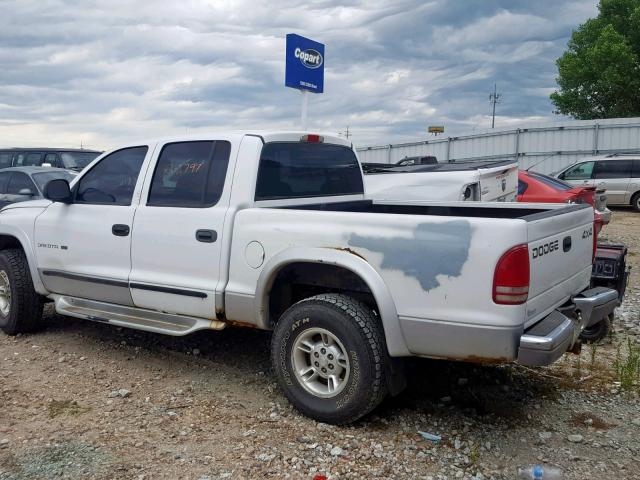 1B7HG2ANX1S309002 - 2001 DODGE DAKOTA QUA WHITE photo 3