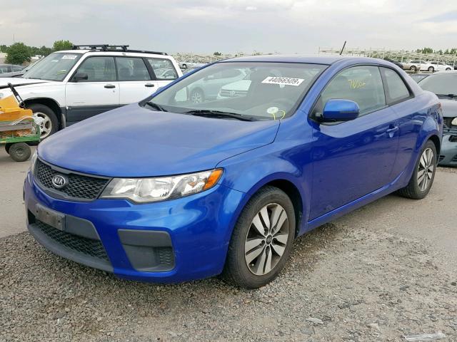 KNAFU6A26D5657196 - 2013 KIA FORTE EX BLUE photo 2