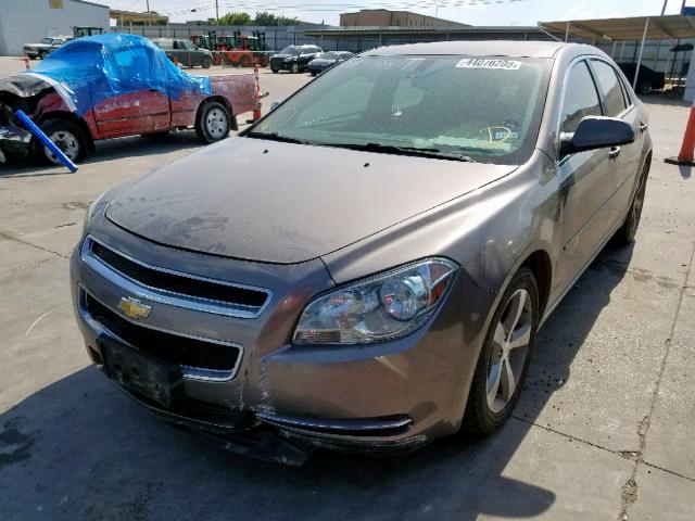 1G1ZC5E17BF220628 - 2011 CHEVROLET MALIBU 1LT 棕色 照片 2