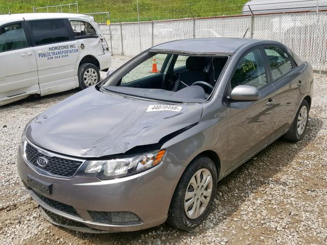 KNAFU4A24C5504609 - 2012 KIA FORTE EX GRAY photo 2