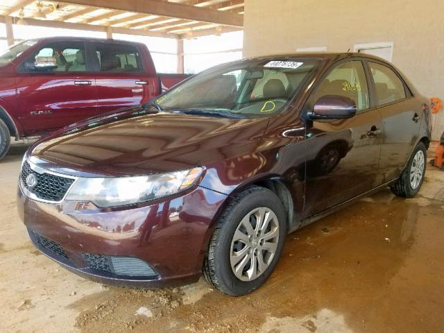 KNAFU4A22B5357060 - 2011 KIA FORTE EX PURPLE photo 2