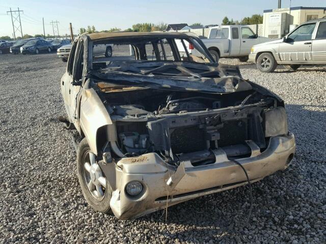 1GKDT13S962151268 - 2006 GMC ENVOY BURN photo 1