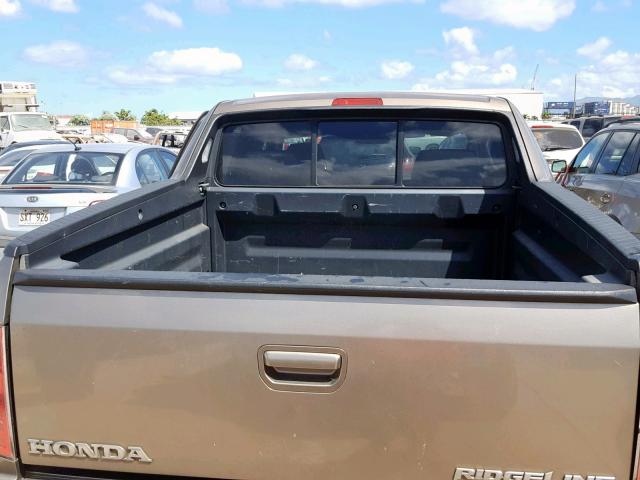 5FPYK16469B108125 - 2009 HONDA RIDGELINE BROWN photo 6