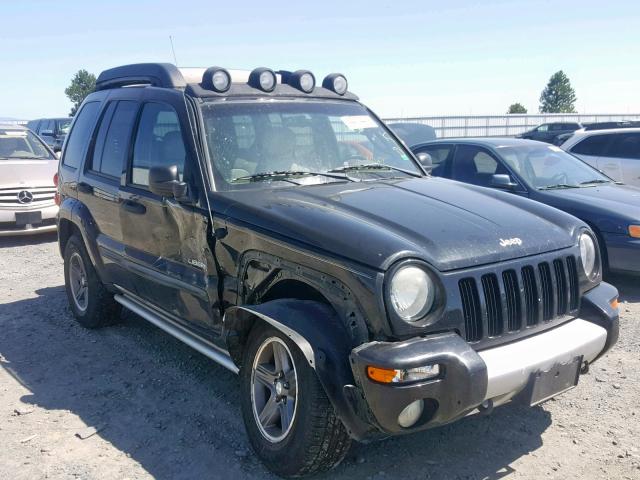 1J4GK38K04W204777 - 2004 JEEP LIBERTY RE BLUE photo 1