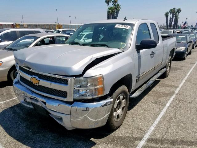 1GCRCSE07DZ142995 - 2013 CHEVROLET SILVERADO SILVER photo 2