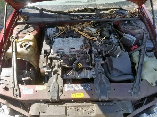 2G1WL52M4S9255069 - 1995 CHEVROLET LUMINA RED photo 7