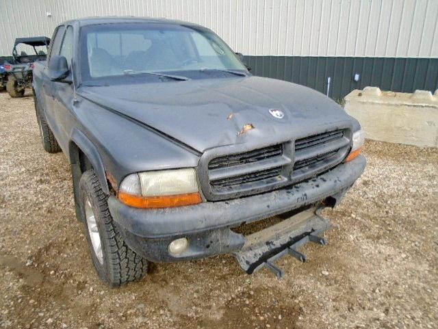 1B7HG38N42S533976 - 2002 DODGE DAKOTA QUA GRAY photo 9