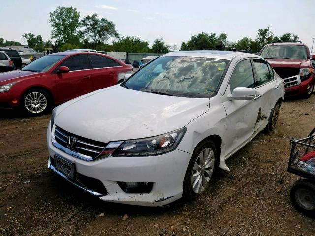 1HGCR3F82EA008864 - 2014 HONDA ACCORD EXL WHITE photo 2