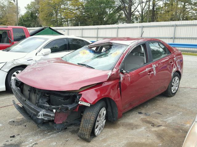 KNAFU4A28A5294416 - 2010 KIA FORTE EX RED photo 2