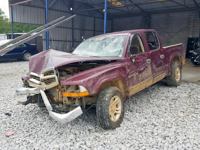 1B7HL48N82S710708 - 2002 DODGE DAKOTA QUA MAROON photo 2