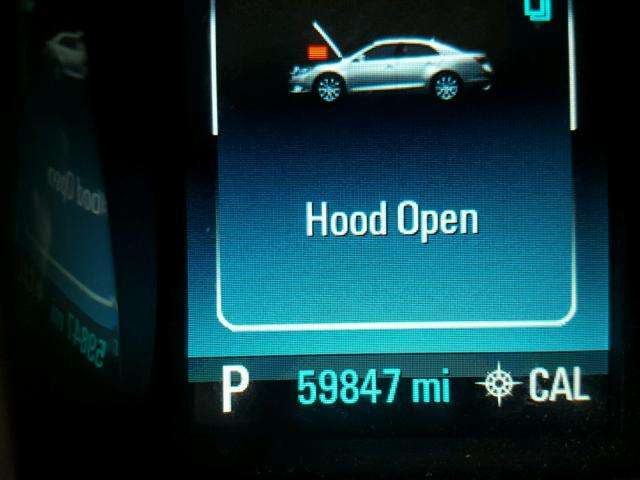 1G11C5SL9EF147768 - 2014 CHEVROLET MALIBU 1LT 栗色 照片 8