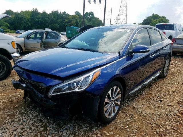 5NPE34AF5FH068958 - 2015 HYUNDAI SONATA SPO BLUE photo 2