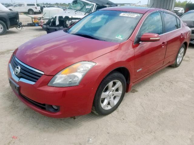 1N4CL21E29C120345 - 2009 NISSAN ALTIMA HYB RED photo 2