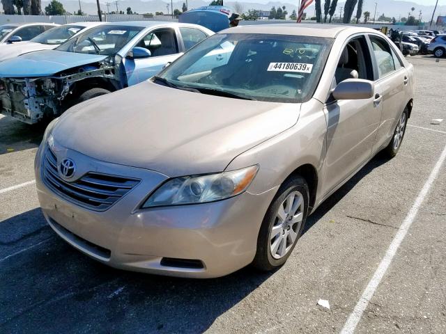 4T1BB46K68U042160 - 2008 TOYOTA CAMRY HYBR GOLD photo 2