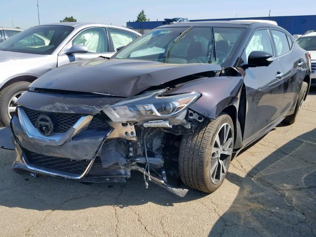 1N4AA6AP3GC402528 - 2016 NISSAN MAXIMA 3.5 MAROON photo 2