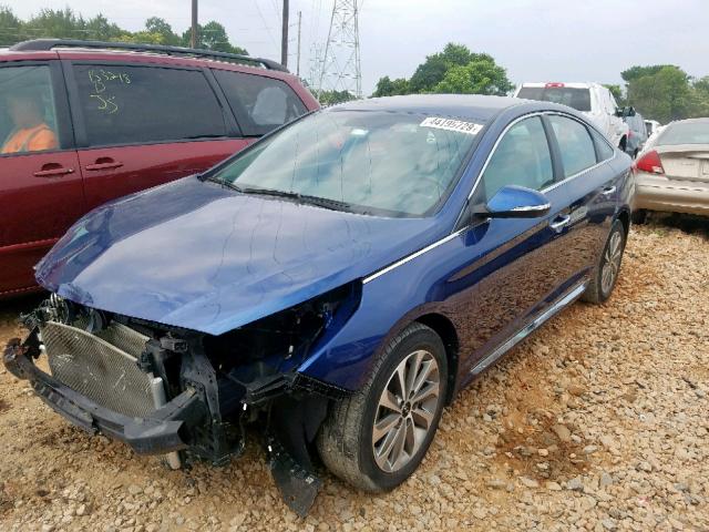 5NPE34AF8GH314273 - 2016 HYUNDAI SONATA SPO BLUE photo 2