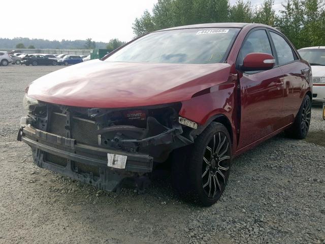 KNAFU4A2XA5104793 - 2010 KIA FORTE EX RED photo 2