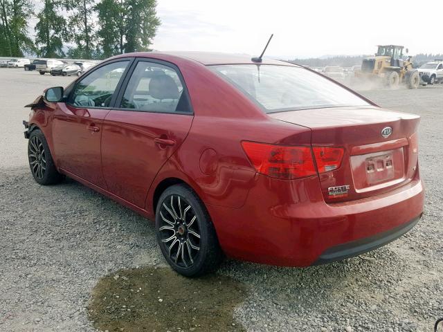 KNAFU4A2XA5104793 - 2010 KIA FORTE EX RED photo 3